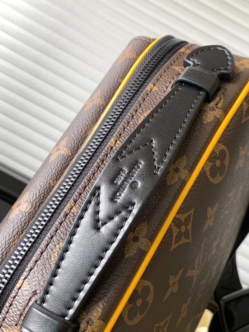 LV Satchel bags